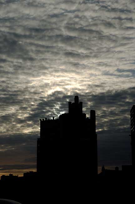 Near Lake Merritt in Oakland