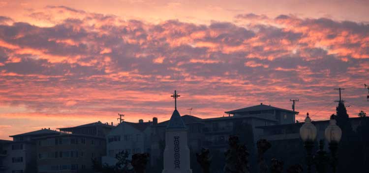 Near Lake Merritt in Oakland.